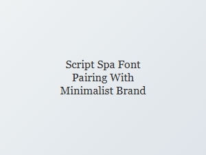 Script Spa Fonts for a Minimalist Brand